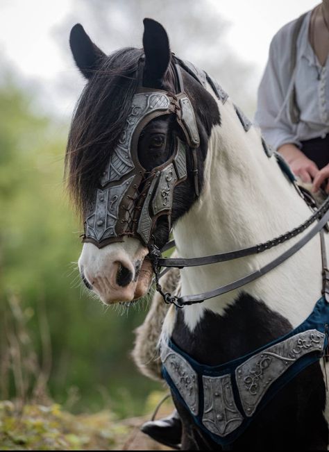 Medieval Horse Tack, Fantasy Horse Tack, Fantasy Horse Rider, Horse Warrior, Horse Armour, Horse Template, Horse Clothes, Medieval Horse, Horse Costumes