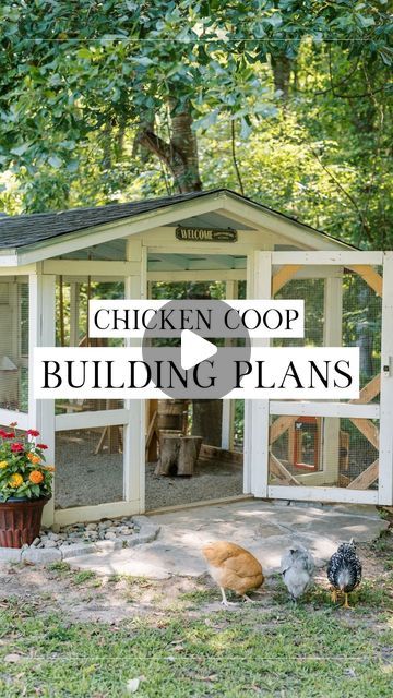 Chicken Coop In Wooded Area, Chicken Coop Building, Fancy Chicken Coop, Chicken Coop Building Plans, Southern Chicken, Expressing Yourself, Fancy Chickens, Urban Chickens, Chicken Farming