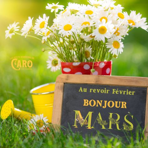 Bonjour Mars, Mars