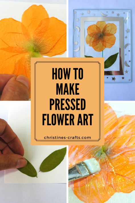 How to Make Pressed Flower Art Simply Diy Pressed Flower Art, Pressed Flower Cards, Pressed Botanical Art, Pressed Flowers Diy, Flower Petal Art, Flower Projects, Flower Pressing, Pressed Flower Crafts, Art At Home