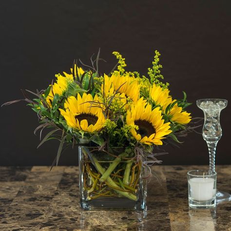 Sunrise   Nothing will brighten your day like sunflowers. In a glass cube and accents of solidago. Sunrise Yellow PJ's Flowers & Events Tony Medlock Flowers Delivery, Square Vase, Glass Cube, Same Day Flower Delivery, Local Florist, Send Flowers, Phoenix Az, Flower Delivery, Brighten Your Day