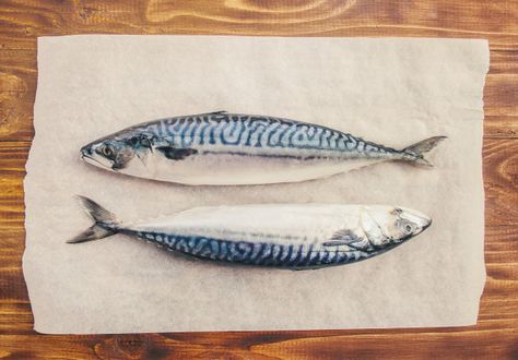 Mackerel Fish Photography, Mackrell Fish, Mackerel Art, Fish Photo, Mackerel Fish, Raw Fish, Food Texture, Art Assignments, Underwater Art