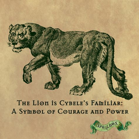 Cybele is referred to as the Magna Mater, or Great Mother, she was the personification of Mother Earth. In art, she’s usually depicted on a throne or in a chariot wearing a tall cylindrical crown and in the constant presence of a lion.  #cybele #lion #familiar #courage #goddess #witchcraft #spellboxmelbourne #wicca #danaethespellboxwitch #australianwitchcraft #witchesofoz #pagan #21stcenturywitchcraft #seekthemagick #magick #royalarcade Cybele Goddess, Magna Mater, Mother Archetype, Lion Goddess, Goddess Witchcraft, Goddess Statues, Pagan Goddess, Nature Goddess, Great Mother