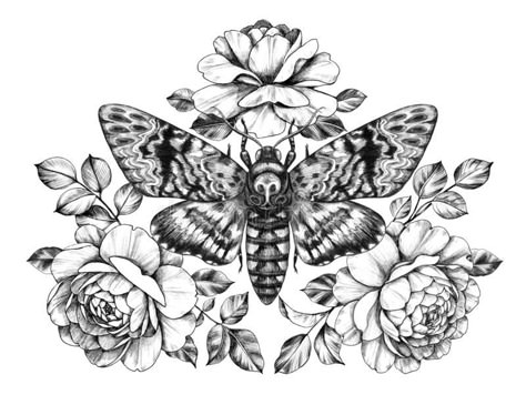 White Pencil Drawing, Butterfly And Rose, Tattoo Care Instructions, Moth Tattoo Design, Realistic Temporary Tattoos, Kunst Tattoos, Deaths Head Moth, Moth Tattoo, Tattoo Care