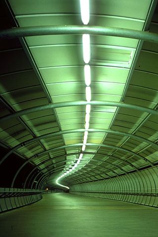 Green Tunnel, City Iphone Wallpaper, Green Corridor, Hd Wallpaper Android, Scary Dogs, Ap Studio Art, Iphone 3, Alien Worlds, London Underground