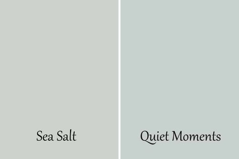 Benjamin Moore Quiet Moments Kitchen, Rain Dance Benjamin Moore, Benjamin Moore Ocean Air Bedroom, Benjamin Moore Quiet Moments Bathroom, Quiet Moments Benjamin Moore Bathroom, Best Green Paint Colors Benjamin Moore, Quiet Moments Benjamin Moore Bedroom, Moody Blue Green Paint Colors, Smokey Green Benjamin Moore