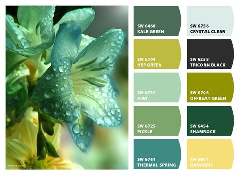 Tricia Guild Colour Color Combinations, Pantone Illustration, Stitch Palette, Mint Color Palettes, Color Theory Art, Yarn Color Combinations, Turquoise Color Palette, Bathroom Color Schemes, Color Palette Challenge