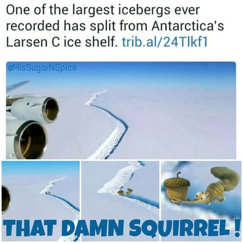 Memes, LarsenC, A68, Ice Age, Scrat, Squirrel, Nut, Crazy, Movie, Iceberg, Iceshelf, Antarctica, Sentinel 1, Funny meme, humor Ice Age Memes Funny, Ice Age Shira Human, Movie Iceberg, Ice Age Fanart, Ice Age Funny, Scrat Ice Age, Ice Age Sid, Crazy Movie, Underrated Movies