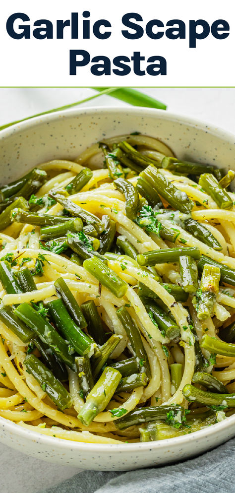 Garlic scape pasta in a bowl. Garlic Scape Pasta Recipes, Scapes Recipes Garlic, Recipes For Garlic Scapes, Recipes Using Garlic Scapes, What To Do With Garlic Scapes, Garlic Scape Recipes, Garlic Scapes Recipes, Scapes Recipes, Summer Recipes Easy