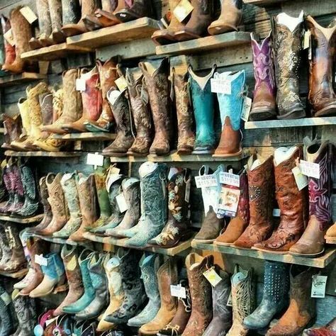 OMG Boot Scootin Boogie, Country Summer, Cowgirl Aesthetic, I Love Jewelry, Handbag Shoes, Summer Aesthetic, Western Wear, Shoe Rack, Cowboy Boots