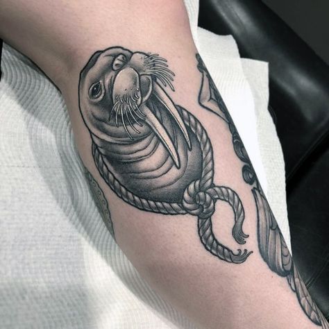 Walrus Tattoo, Animal Tattoos, Blackwork, I Tattoo, Tattoo Artists, Beauty Hacks, Tattoos, Animals, Beauty