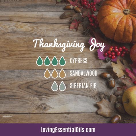 Thanksgiving Diffuser Blends - Celebrate & Share Your Gratitude! by Loving Essential Oils | Thanksgiving Joy with cypress, sandalwood, and siberian fir. Get the FREE printable cheat sheet! #diffuserblends #thanksgiving #lovingessentialoils Thanksgiving Diffuser Blends, Pumpkin Spice Essential Oil, Cassia Essential Oil, Thanksgiving Essentials, Fall Essential Oils, Doterra Diffuser, Siberian Fir, Reed Diffuser Sticks, Pumpkin Spice Recipe