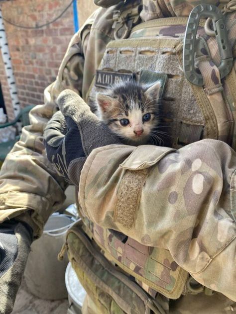 Ukrainian soldiers save animals at the Frontline 🙏❤️ Soldiers With Cats, Us Soldiers Afghanistan, Iran Army Soldiers, Neet Soldiers, American Army Soldiers, National Guard Aesthetic, Army Pfp, Ukraine Soldier, Cute Soldier