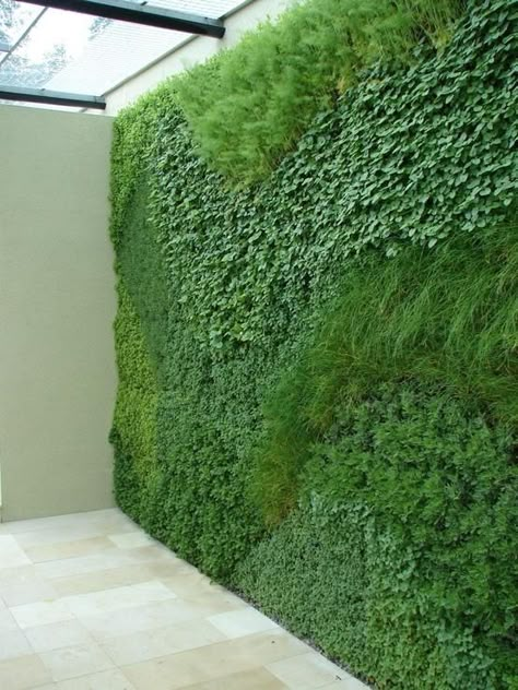 vertical garden- love love. not a hedge exactly, but remember to think outside the box with what a hedge is. Green Wall Plants, Jardin Vertical Artificial, Hampton Court Flower Show, Herb Wall, Tanaman Indoor, Desain Lanskap, Plants Growing, Walled Garden, The Secret Garden