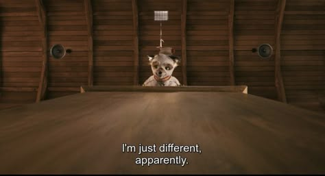 Ash Fox, Fantastic Mr Fox Quotes, Fantastic Mr Fox Aesthetic, Fox Quotes, Fox Aesthetic, Fantastic Fox, Cinema Quotes, Wes Anderson Films, Fantastic Mr Fox