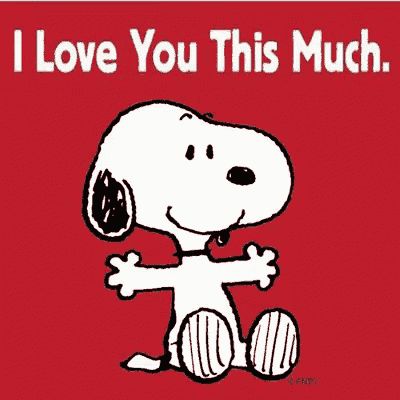 Image result for I LOVE YOU THIS MUCH GIF Charlie Brown Y Snoopy, Love You This Much, Hello Greeting, Snoopy Cartoon, Charlie Brown Snoopy, Snoopy Funny, Snoopy Images, Peanuts Cartoon, Snoopy Quotes