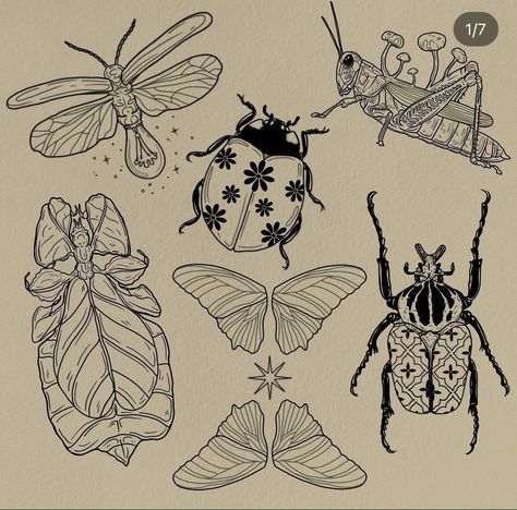 Hunter Tattoo, Flash Designs, Flash Sheets, Torso Tattoos, Insect Tattoo, Bug Tattoo, Sharpie Tattoos, Flash Sheet, Hand Carved Stamps