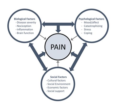 Linear Relationships, Social Environment, Medical Knowledge, Eye Roll, Thought Process, Brain Function, Healthcare System, Health Coach, Circles