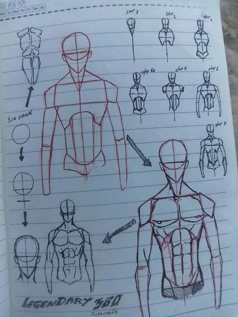 Basic Anotamy Drawing, Basic Anatomy Drawing, Basic Sketching, Human Body Drawing, Drawing Ideas List, Human Anatomy Drawing, Body Drawing Tutorial, Human Figure Drawing, Human Anatomy Art