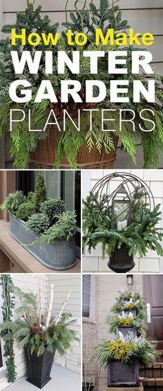 How to Make Winter Garden Planters! • These easy winter planter ideas, tips and tricks will help you create winter containers that wow! #winterplanters #wintergardenplanters #wintercontainergardening #wintergardencontainers #wintercontainers #winterfrontporchplanters #frontporchplanters Winter Planter Ideas, Franklin House, Winter Containers, Winter Container Gardening, Winter Planters, Funny Vine, Winter Planter, Winter Porch, Christmas Planters