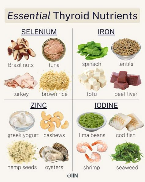 Integrative Nutrition - IIN on Instagram: "The thyroid is a vital hormone gland that regulates many bodily functions — its main job being to control metabolism, aka how the body uses energy.⚡️ When your thyroid isn’t working properly, it can impact your entire body, and thankfully for many, following a nutrient-dense diet is enough to maintain optimal thyroid function. #nutritionschool #thyroid #thyroidhealth #hormonehealth #hormones #womenshealth #nutritiontips #healthyeats" Diet For Hyperthyroid, Thyroid Supplements Vitamins, Diet For Thyroid Issues, Healthy Thyroid Diet, Supplements For Thyroid Health, Under Active Thyroid Diet, Thyroid Foods To Eat, Thyroid Symptoms Natural Treatments, Thyroid Diet Plan Meals