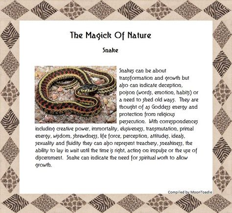 Snakes Spiritual Meaning, Snake Spirit Animal Meaning, Spirit Animal Snake, Snake Meaning Spiritual, Snake Astrology, Snake Symbolism Meaning, Snake Spiritual Meaning, Mindfulness Symbol, Snake Meaning