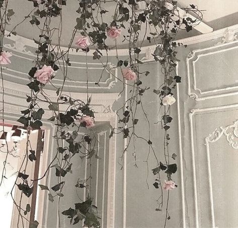 Cocoppa Wallpaper, Angel Aesthetic, Pandora Hearts, Nature Aesthetic, White Aesthetic, Pretty Places, Aesthetic Photo, Pink Aesthetic, Book Nerd