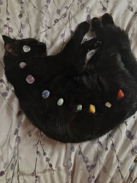 Black Cat With Crystals, Witchy Spiritual Aesthetic, Black Cat Witch Aesthetic, Crystals Aesthetic Witch, Cats With Crystals, Cat With Crystals, Cristal Aesthetic, Cats And Crystals, Spiritual Wallpaper Aesthetic