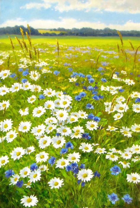 Wild Flowers Photography, Wild Flower Field, Sunny Flowers, Daisy Field, Country Landscape, Daisy Chain, Life Photo, Flower Beauty, Flowers Nature