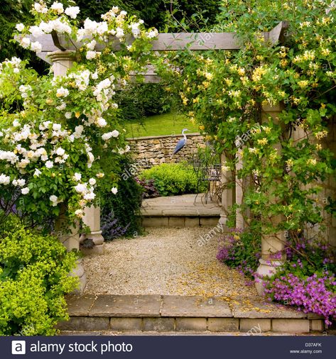 UK gardens. A garden pergola with roses and honeysuckle. Stock Photo Honeysuckle Pergola, Rose Pergola, Red Climbing Roses, Garden Pergola, Wonderland Events, Rose Arbor, Walkways Paths, Pergola Ideas, Courtyard Design