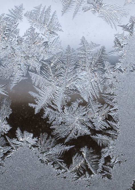 Ice On Window, Frost On Leaves, Frost On Window, Frost Drawing, Frost Aesthetic, Frozen Window, Frost Flower, Frosted Flowers, Frost Photography