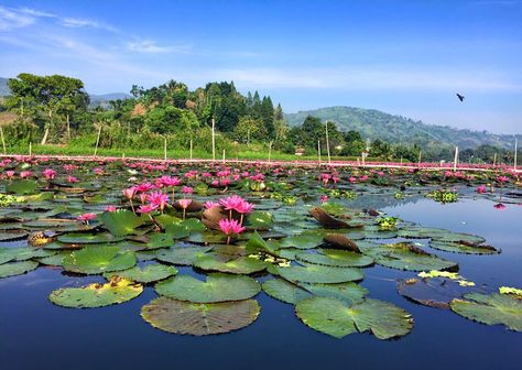 Nature In Philippines, Asik Asik Falls Philippines, Lake Sebu, Forest In The Philippines, Taal Lake Philippines, Bicol Region Tourist Spot, Whats Wrong, The Philippines, Best Places To Travel