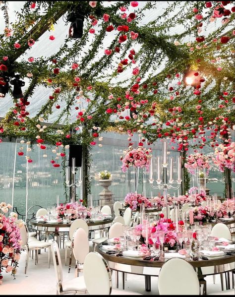 Bridal Shower Ceiling Decor, Small Event Space Design Ideas, Wedding Flowers Ceiling, Hanging Roses Wedding, Wedding Flower Ceiling, Lights Ceiling Wedding, Ethereal Decorations, Floating Flowers Wedding, Dream Garden Wedding