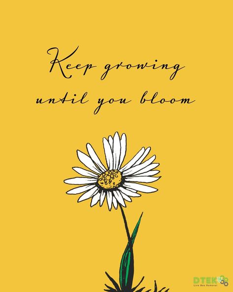 Growing And Learning Quotes, Bloom And Grow Quote, Keep Blooming Quotes, Self Bloom Quotes, Bloom Quotes Motivation, Keep Growing Quotes, Flower Sayings, Brand Shapes, Quotes About Growing