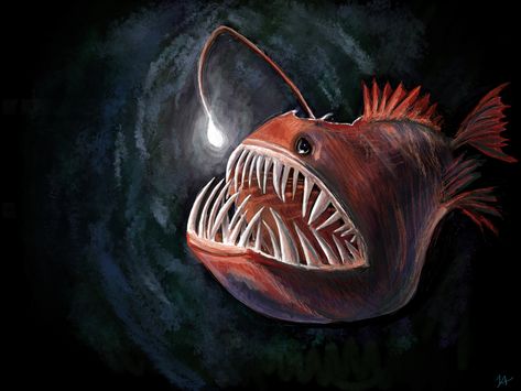 Angler Fish Illustration, Angler Fish Art, Wild Wallpaper, Animals In The Wild, Animal Themes, Sunrise Wallpaper, Vaporwave Wallpaper, Fish Artwork, Deep Sea Creatures