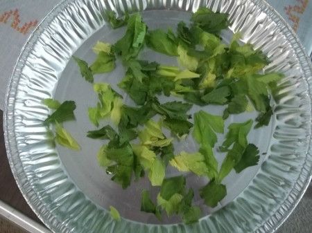 fresh celery leaves - make dried celery flakes from fresh - EASY. Uses For Celery, Drying Celery, Tuna Salads, Celery Leaves, Dehydrated Foods, Canned Food Storage, Dried Vegetables, Dehydrated Food, Summer Vegetable