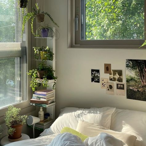 dreamy room aesthetic dreamy room aesthetic  night dreamy room aesthetic  purple dreamy room aesthetic  vintage dreamy room aesthetic  korean dreamy room aesthetic  comfy dreamy room aesthetic  minimalist Room Inspo Japanese, Minimalist Plant Room Aesthetic, Minimalist Plant Bedroom, Minimalist Plant Room, Room Plants Aesthetic, Room Aesthetic Purple, Room Aesthetic Night, Minimalistic Dorm, Korean Home Interior