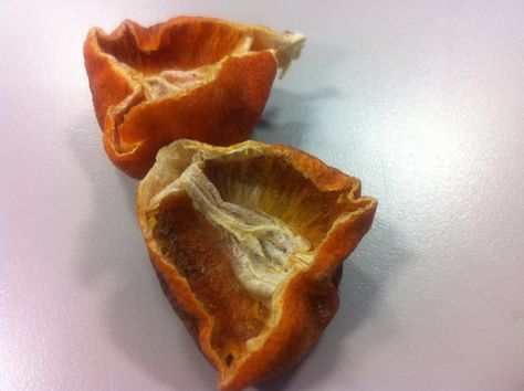 Rotten Orange, Rotten Food, Cut Orange, Sketchbook Inspo, Ad Hoc, Orange Fruit, Orange Slices, Art Project, Art Projects