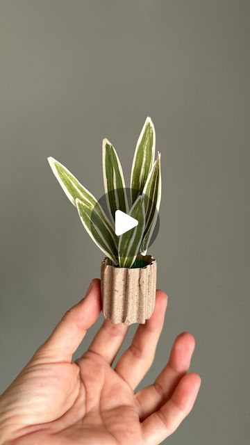 Mini Plants Indoor, Miniature Plants Diy, Diy Mini Flowers, Mini Plants Diy, Paper Plants Diy, Origami Plants, Mini Paper Flowers, Origami Leaves, Diy Canvas Art Easy