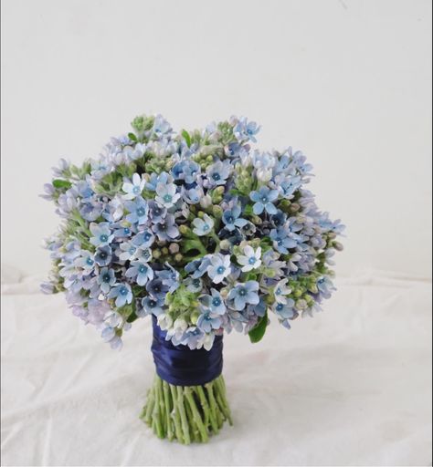 Cosmos Wedding Bouquet, Blue Wedding Bouquet, Light Blue Aesthetic, Flower Design, Wedding Outfit, Party Time, Bridal Bouquet, Shades Of Blue, Flower Designs