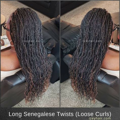 Long Senegalese Twists (Loose Curls) Xpressions Braiding Hair, Micro Senegalese Twist, Nubian Twists, Grey Hair Braids, Senegalese Twist Style, Braids Styling, Braids With Shaved Sides, Senegalese Twist Braids, Senegalese Twist Hairstyles