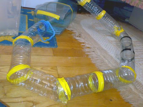 Ideas Para Hamster, Hamster Tube, Diy Hamster Toys, Hamster Diy Cage, Hamster Food, Hamster Life, Hamster Diy, Hamster Habitat, Hamster Toys