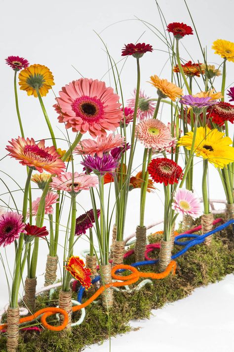 Gerbera Flower Arrangements, Gerbera Wedding, Plant Centerpieces, Sustainable Flowers, Gerbera Flower, Ikebana Flower Arrangement, Event Backdrop, Event Flowers, Stage Decorations