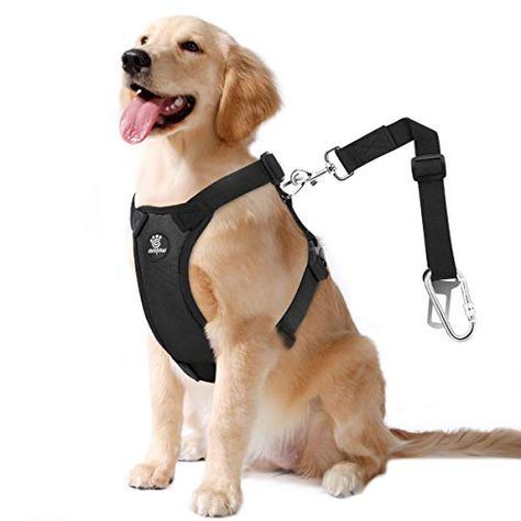 Dog Car Harness, Car Harness, Dog Seat Belt, Walking Harness, Vest Harness, Dog Seat, Dog Vest Harness, Safety Vest, Dog Safety