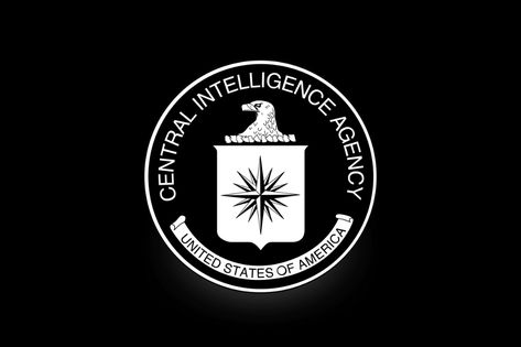 Cia Logo Central Intelligence Agency, Fbi Logo, Cia Wallpaper, Cia Spy Aesthetic, Cia Aesthetic Female, Cia Logo, Spy Wallpapers, Cia Agent Aesthetic, Cia Aesthetic