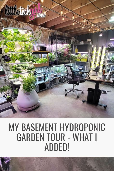 Diy Hydroponic Garden Indoor Vertical, Hydroponic Basement Garden, Basement Vegetable Garden, Hanging Hydroponic Garden, Indoor Basement Garden Ideas, Garage Hydroponic Garden, Small Grow Room Ideas Indoor, Small Hydroponics System, Grow Light Garden