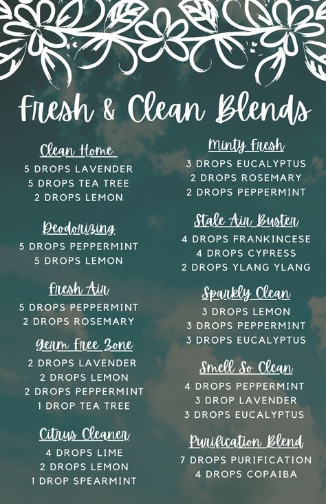 Essential Oils Fresh Clean Scent, Clean Scent Essential Oil Blends, Diffuser Placement In Room, Deodorizing Essential Oil Blends, Luxury Hotel Essential Oil Blends, Fresh Essential Oil Blends, Young Living Essential Oils Recipes Diffuser, Sage Essential Oil Blends, Clean House Diffuser Blend