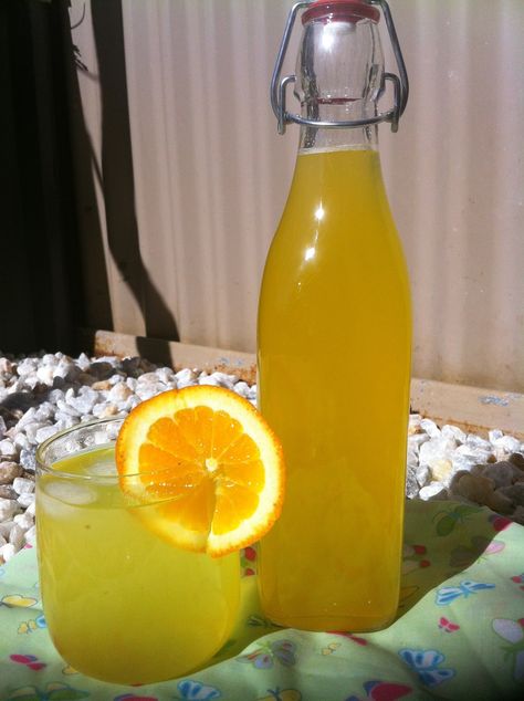 With winter upon us well and truly now - there are trees in so many backyards that are bending their branches under the weight of citrus! To... Orange Cordial Recipe, Cordial Recipe, Orange Farm, Homemade Drinks, Orange Recipes, Cordial, Backyards, Juicing Recipes, Non Alcoholic