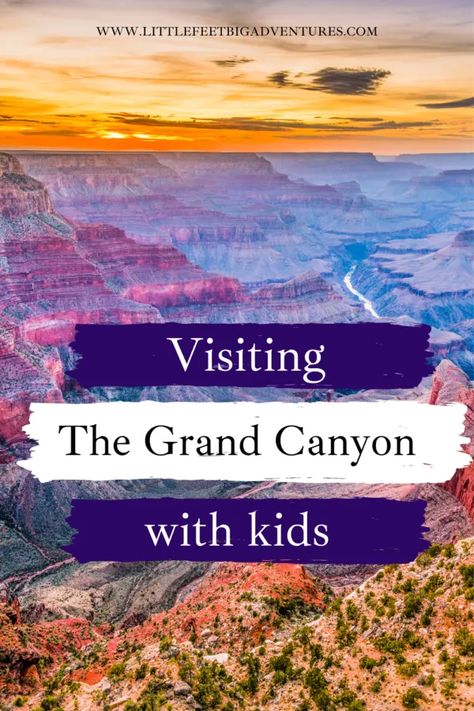 Complete Guide to Visiting the Grand Canyon with Kids Grand Canyon With Kids, Grand Canyon Vacation, Grand Canyon Village, Grand Canyon Railway, Visiting The Grand Canyon, Trip To Grand Canyon, Arizona Road Trip, Spring Break Trips, Family Vacay