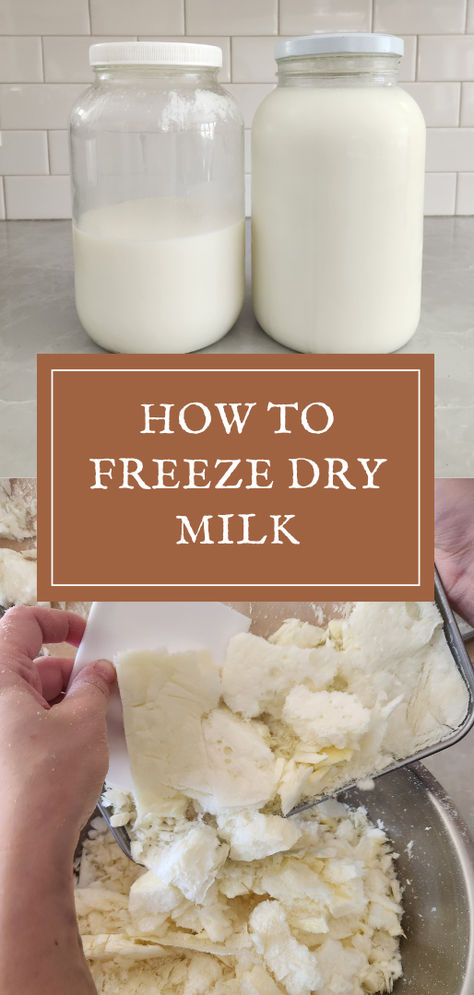 How to Freeze Dry Milk: A Step-by-Step Guide Dehydrating Goat Milk, Freeze Drying Milk, Freeze Dry Breastmilk Diy, Freeze Dried Breastmilk, Freeze Dried Milk, Freeze Drier Recipes, Freeze Dried Baby Food, Freeze Dry Breastmilk, Freeze Dry Recipes